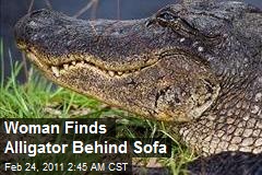 Woman Finds Alligator Chillin' Behind Sofa