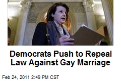 Democrats Push to Repeal Law Against Gay Marriage
