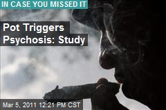 Pot Triggers Psychosis: Study