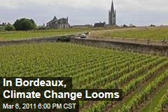 In Vaunted Bordeaux Wine Country, Climate Change Looms