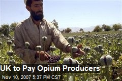 UK to Pay Opium Producers