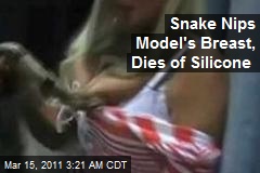 Snake Nips Model's Breast, Dies of Silicone