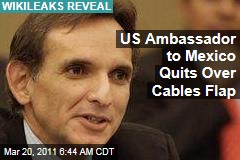 US Ambassador to Mexico Carlos Pascual Quits Over WikiLeaks Cables