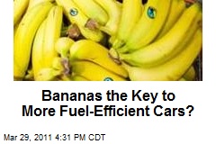 Bananas the Key to More Fuel-Efficient Cars?