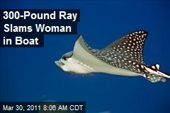300-Pound Ray Slams Woman in Boat