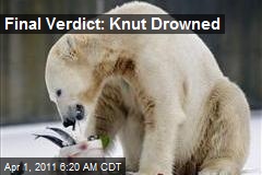Final Verdict: Knut Drowned