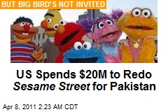 US Spends $20M on Sesame Street Redo for Pakistan