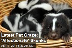 Latest Pet Craze: &#39;Affectionate&#39; Skunks