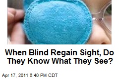 When Blind Regain Sight, Do They Know What They See?