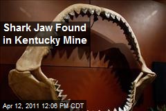 Shark Jaw Found in Kentucky Mine