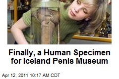 Finally, a Human Specimen for Iceland Penis Museum