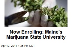 Now Enrolling: Maine's Marijuana State University