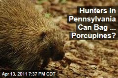 Pennsylvania Allows Hunters to Kill Porcupines