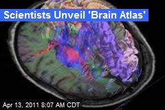 Scientists Unveil 'Brain Atlas'