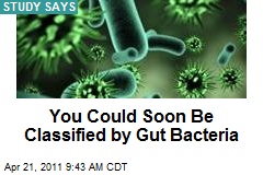 You Could Soon Be Classified by Gut Bacteria