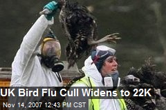 UK Bird Flu Cull Widens to 22K