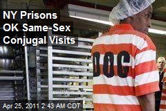 NY Prisons OK Same-Sex Conjugal Visits