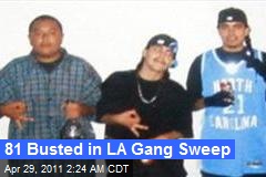 81 Busted in LA Gang Sweep