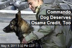 Commando Dog Deserves Osama Credit, Too