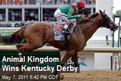 Animal Kingdom Wins Kentucky Derby