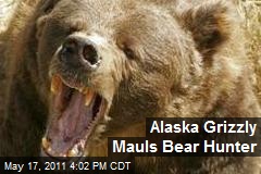 Alaska Grizzly Mauls Bear Hunter