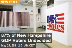 New Hampshire Republican Primary Voters 87% Undecided: Poll