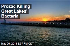 Prozac Traces Kill E. Coli, Other Bacteria in Great Lakes