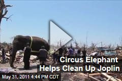 Circus Elephant Helps Clean Up After Joplin Tornado (Video)