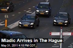 Ratko Mladic Arrives at the Hague; Enters UN Isolation Cell