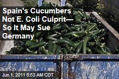 Spain's Cucumbers Not E. Coli Culprit—So It May Sue Germany Over Blame