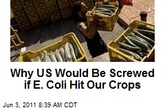 Why US Would Be Screwed if E. Coli Hit Our Crops