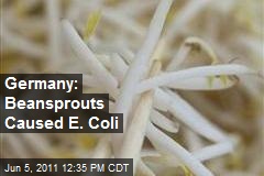 Germany: Beansprouts Caused E. Coli