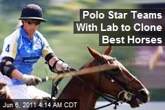Polo Star Teams With Lab to Clone Best Horses