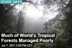 Study Shows 90% of World's Tropical Forests Managed Poorly