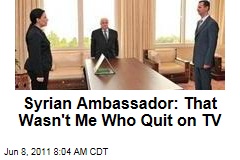 Syrian Ambassador Lamia Shakkour: That Wasn't Me Who Quit on TV