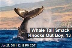 Humpback Whale's Tail Smacks Boy in Australia