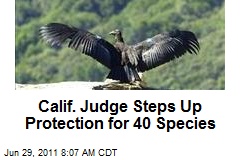 Calif. Judge Steps Up Protection for 40 Species