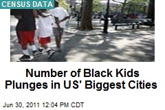 Number of Black Kids Plunges in US&#39; Biggest Cities
