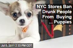 West Village Pet Shops Ban Drunk Puppy Buying