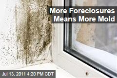 More Foreclosures Means More Mold in Closed-Up Homes