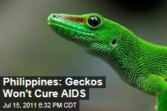 Philippines: Geckos Won't Cure AIDS