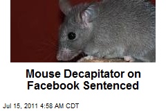 Mouse Decapitator Sentenced