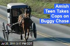 Amish Teen Takes Cops on Buggy Chase