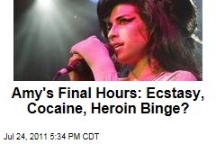 Amy Winehouse's Last Days, Final Hours: Ecstasy, Cocaine, Heroin, Alcohol Binge, Plus Heartbreak Over Split, Sources Say