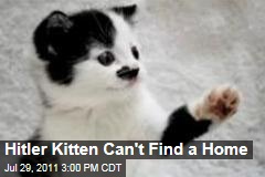 Kitler: Kitten Who Looks Like Hitler Can't Find a Home