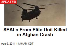 AP: Crash Victims Include SEALs Who Killed bin Laden