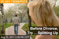 Before Divorce, Try ... Splitting Up