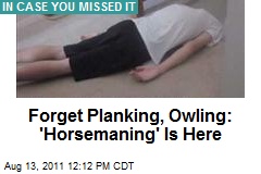 Forget Planking, Owling: &#39;Horsemaning&#39; Is Here