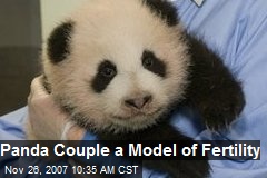 Panda Couple a Model of Fertility