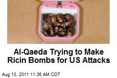 Al-Qaeda Trying to Make Ricin Bombs for US Attacks